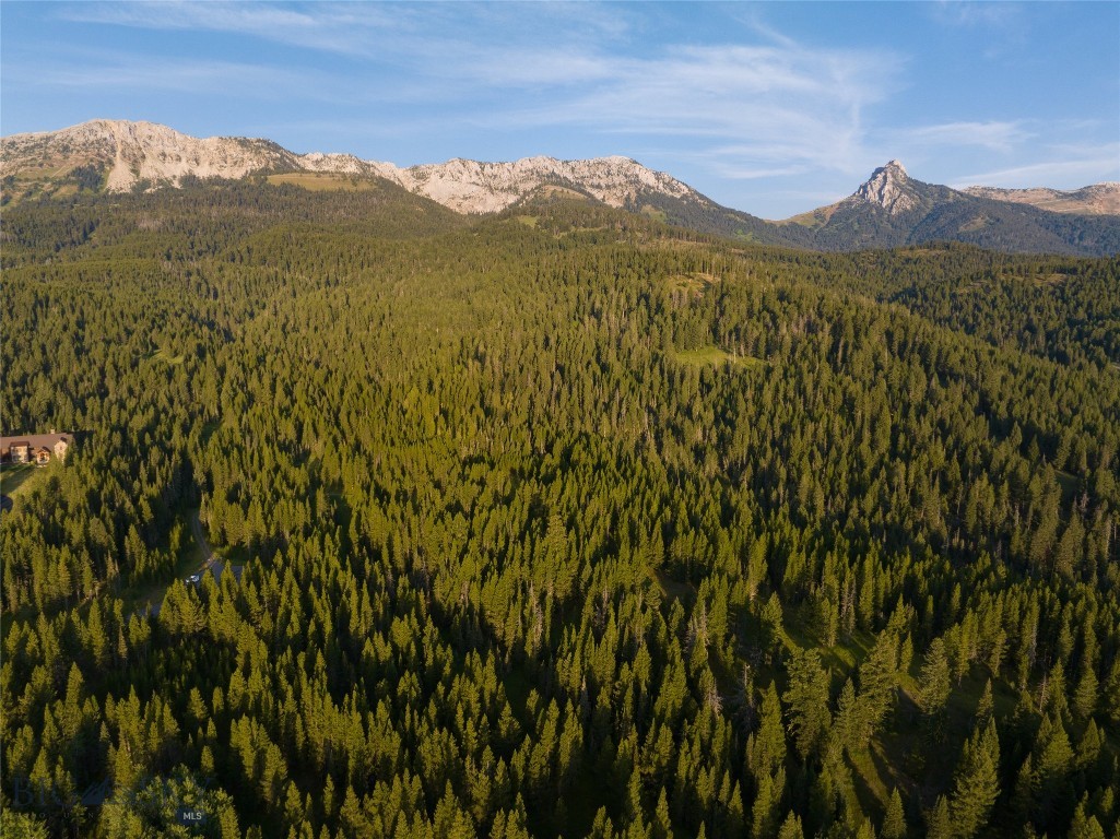 Bozeman, Montana 59715, United States, ,Land,Active,170894