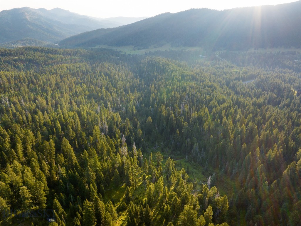 Bozeman, Montana 59715, United States, ,Land,Active,170894