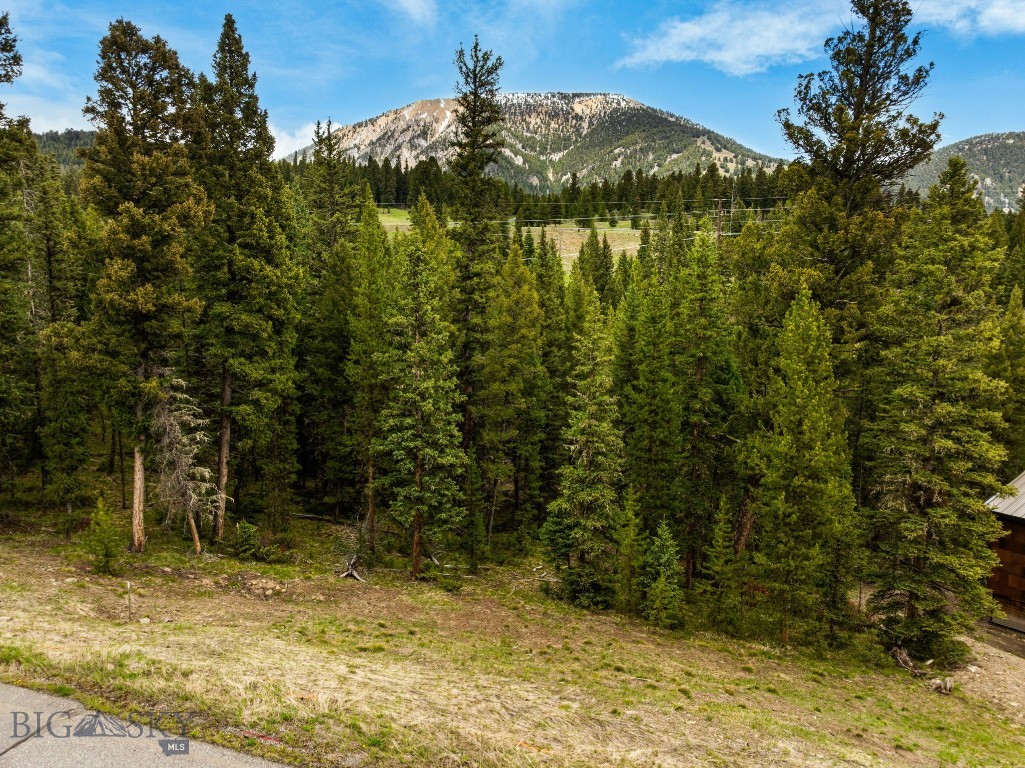 Antler Ridge - Land
