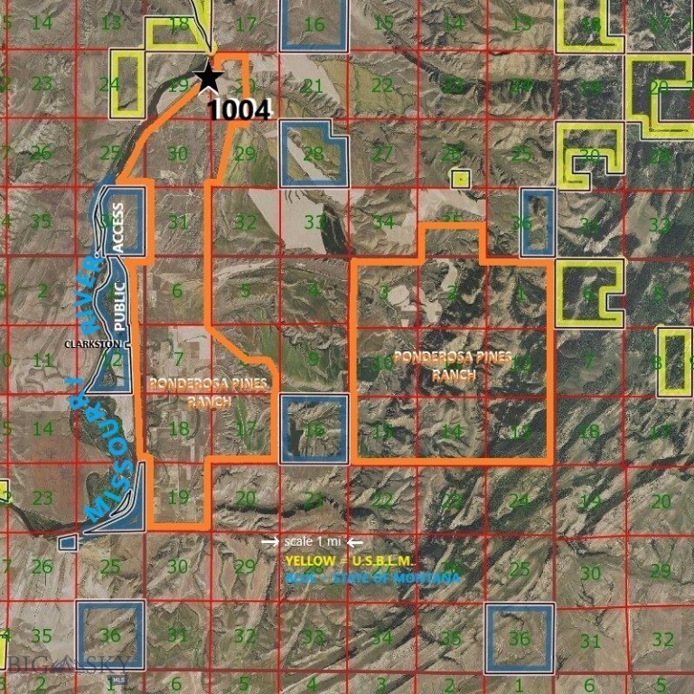 Ponderosa Pines - Land