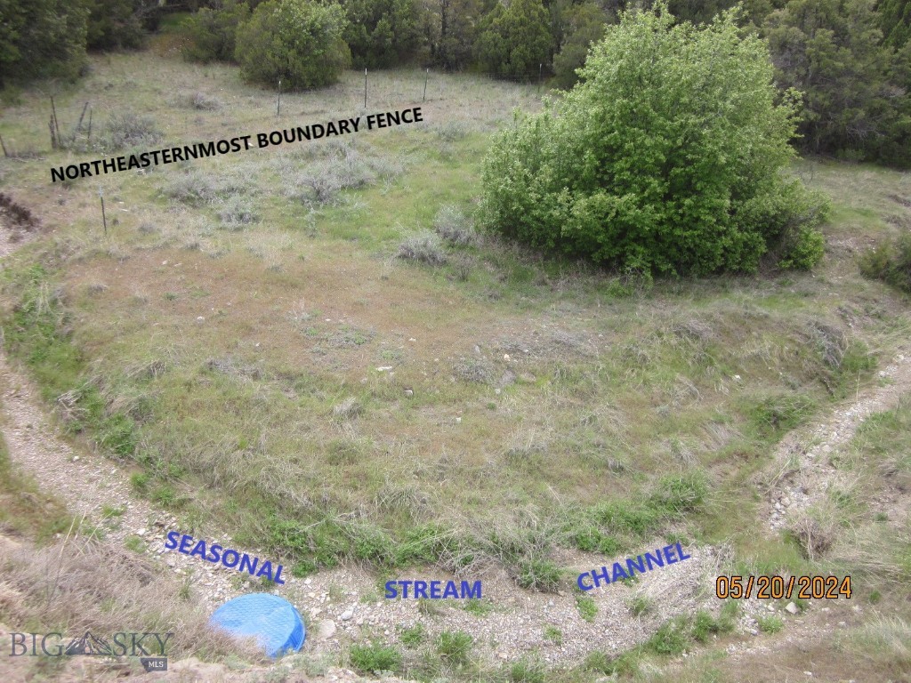 Ponderosa Pines - Land