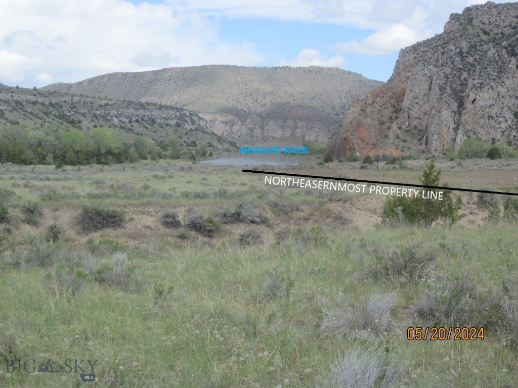 Ponderosa Pines - Land