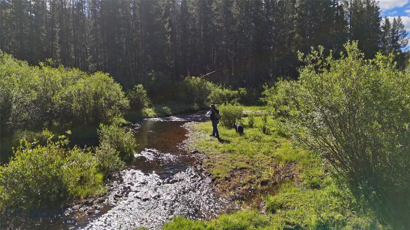 11203 Skinners Meadows Road Road