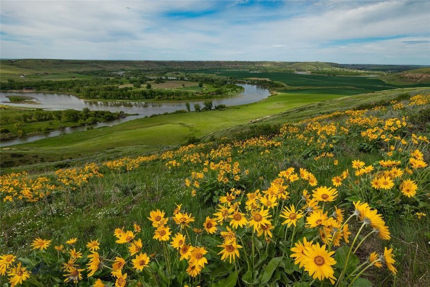 The Lord Ranch is majestically placed along 1.8± miles of the famous Smith River and 6± miles of the Missouri River. Comprised of over 4900± deeded acres and operationally combines 865± acres of productive hay ground, 218± of that is situated under one newer extensive pivot with 417± acres sub irrigated and remaining acres of dryland hay crop. Three cuttings of alfalfa hay are in production each year. Thousands of acres of new fenced pasture complete with cross fencing and spring fed water dispersed throughout the ranch.  A mix of bench topped rolling hills with native grass and lush riparian river bottom provide a healthy mix of terrain and vegetation suitable for a variety of wildlife. The uniqueness of this property offers habitat and cover for whitetail deer, mule deer, antelope, upland birds, and waterfowl, as well as the ranch's cattle herd.  There are 4 modest homes on the ranch. No conservation easements, there are no boundaries as to what can be done on this piece of property.