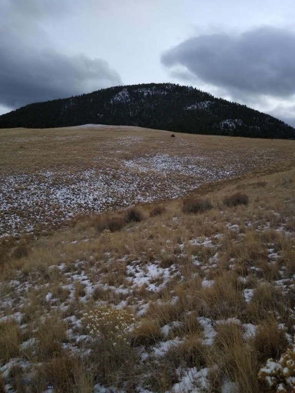 Other - Land