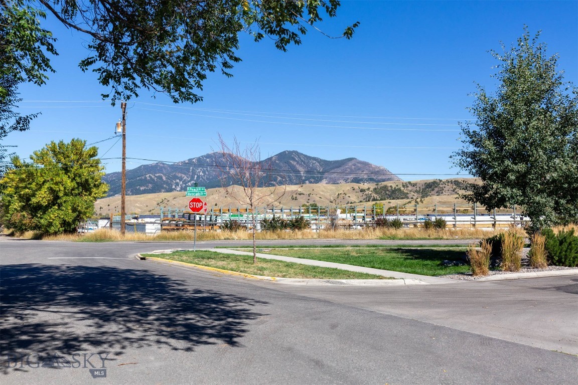 Northern Pacific Addition - Residential