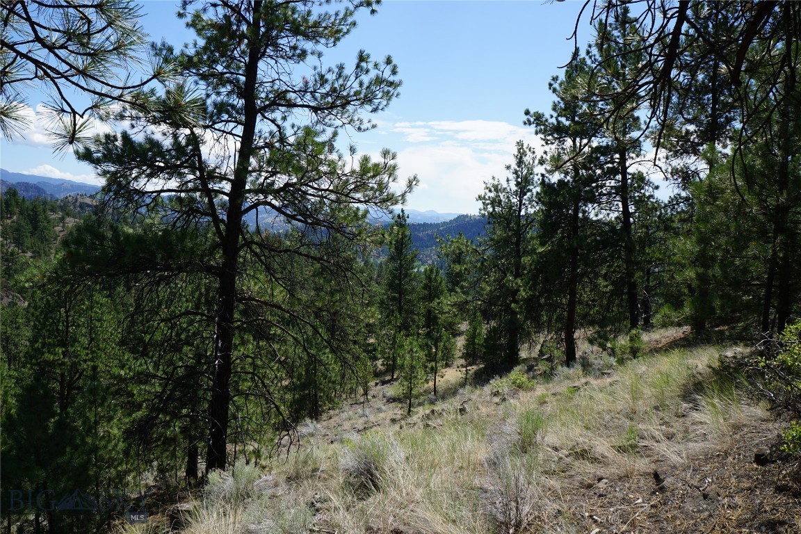 Escape to nature with this 11-acre parcel nestled in a serene hillside setting. Hike to the top for gorgeous mountain and river views. Towering pine trees provide privacy, while leveled areas offer perfect spots for camping or the opportunity to build an off-grid cabin. Deer, turkeys, and other wildlife frequent the area. Landowners can enjoy the nearby Shoquist Park for picnics and access to the Dearborn River. It’s just a short drive to the Missouri River, known for great fishing and floating, making this land ideal for recreational enthusiasts. The property is located between Great Falls and Helena, offering shopping, restaurants, and airports. Don’t miss your chance to own this beautiful piece of land, where adventure and relaxation await!