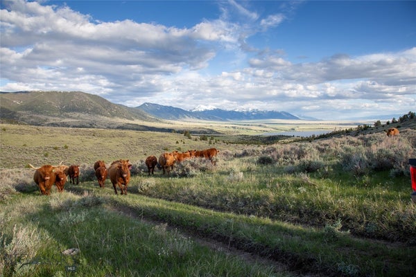 234 N ENNIS LAKE RD, MC ALLISTER, MT 59740 - Image 1eeb13ebc3f8f0a69d8a32d52fc47d10/2197841551