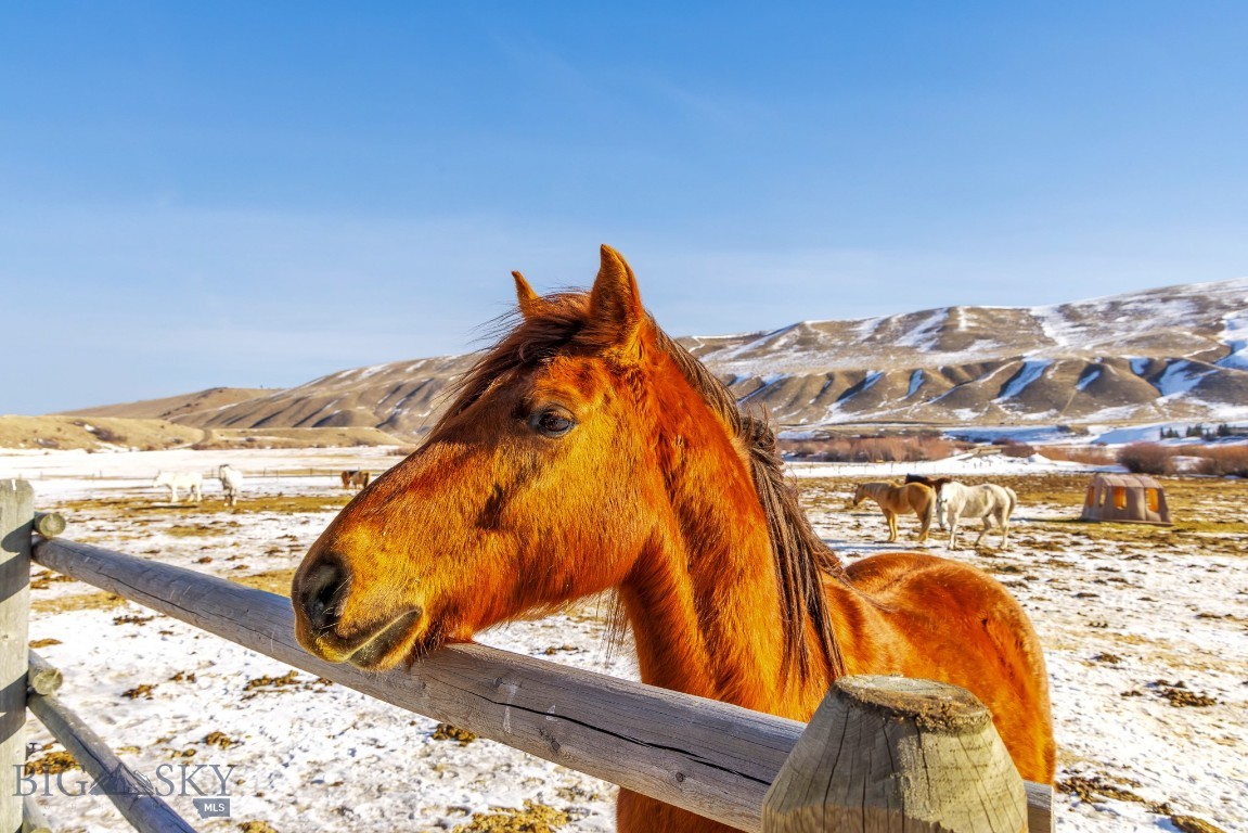 Sun West Ranch - Land