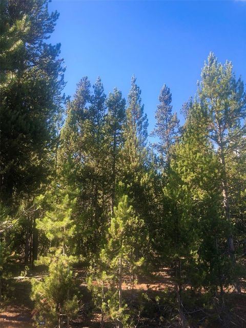 Photo of 524 Gallatin Avenue, West Yellowstone, MT 59758 (MLS # 406358)