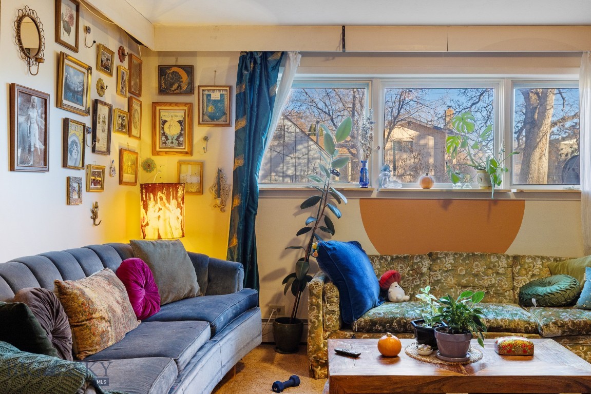 Minor Subdivision - Residential Income