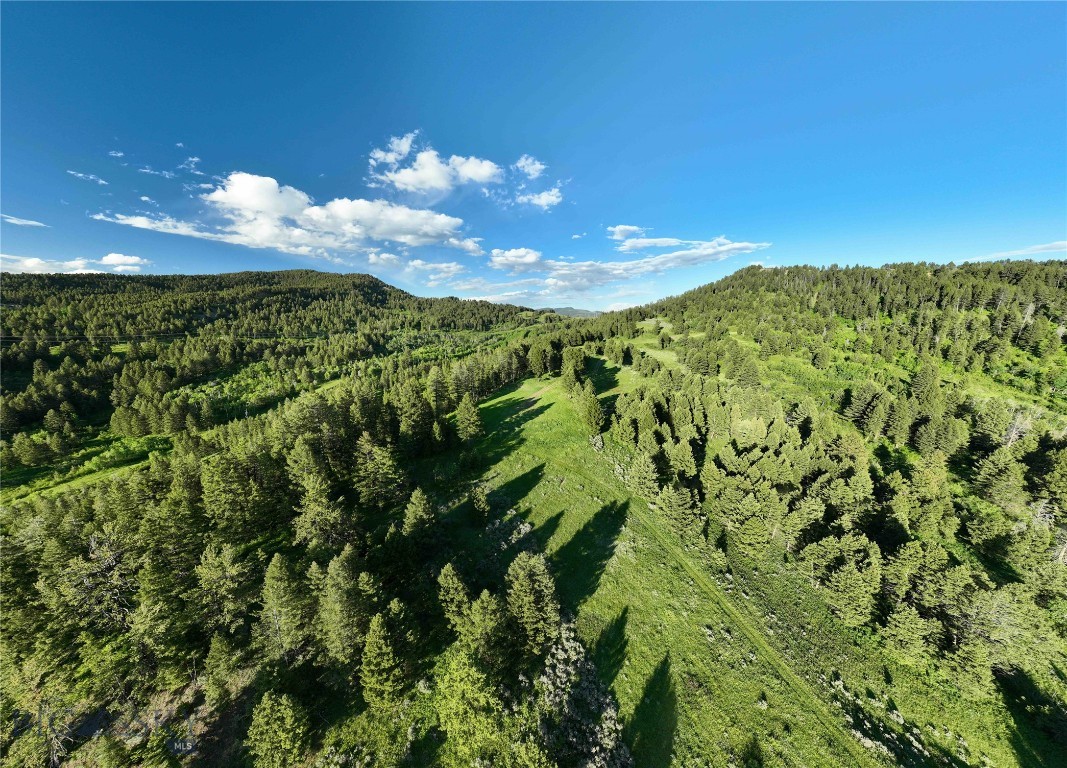 North Pass Ranches - Farm