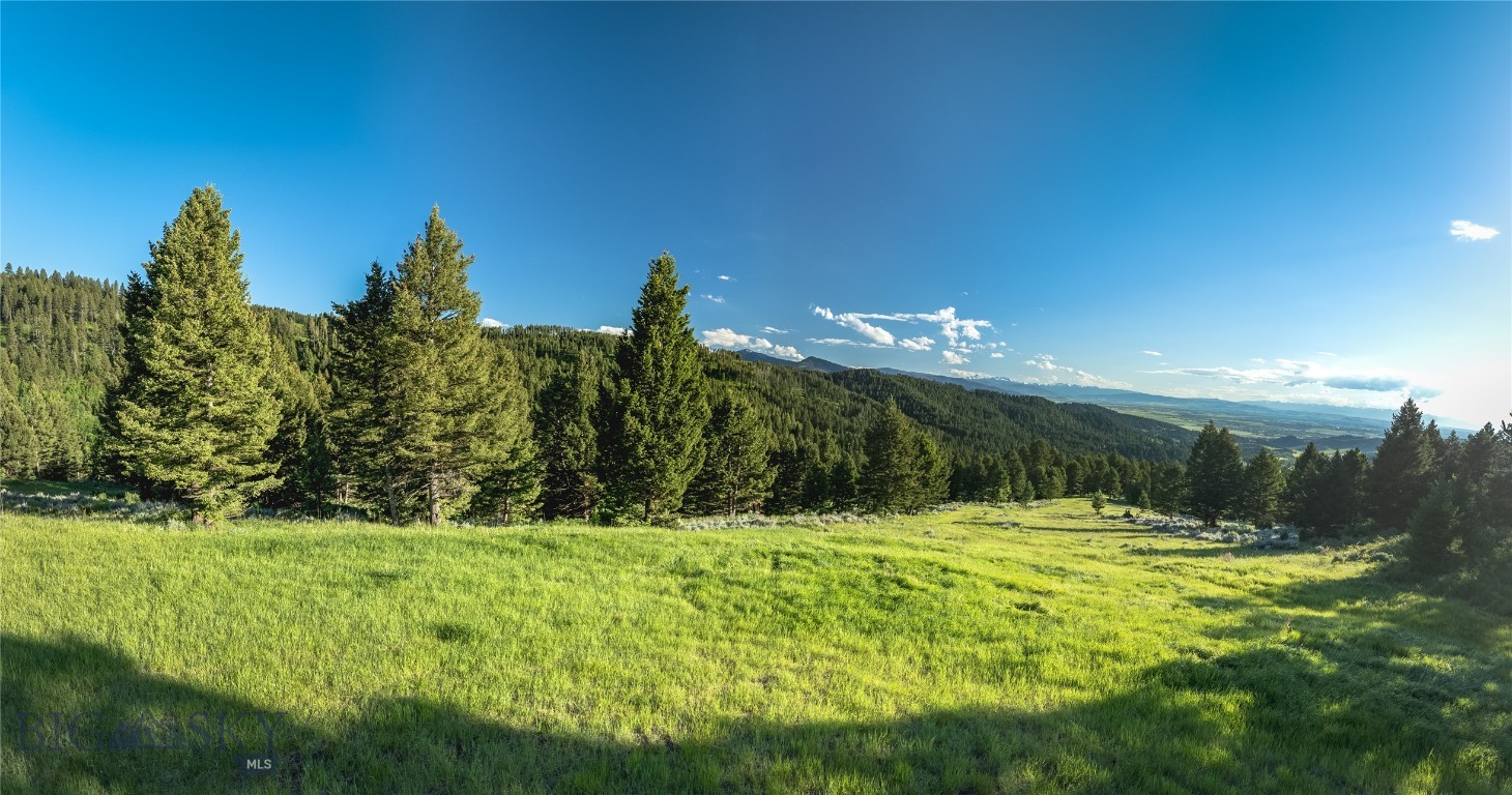 North Pass Ranches - Farm