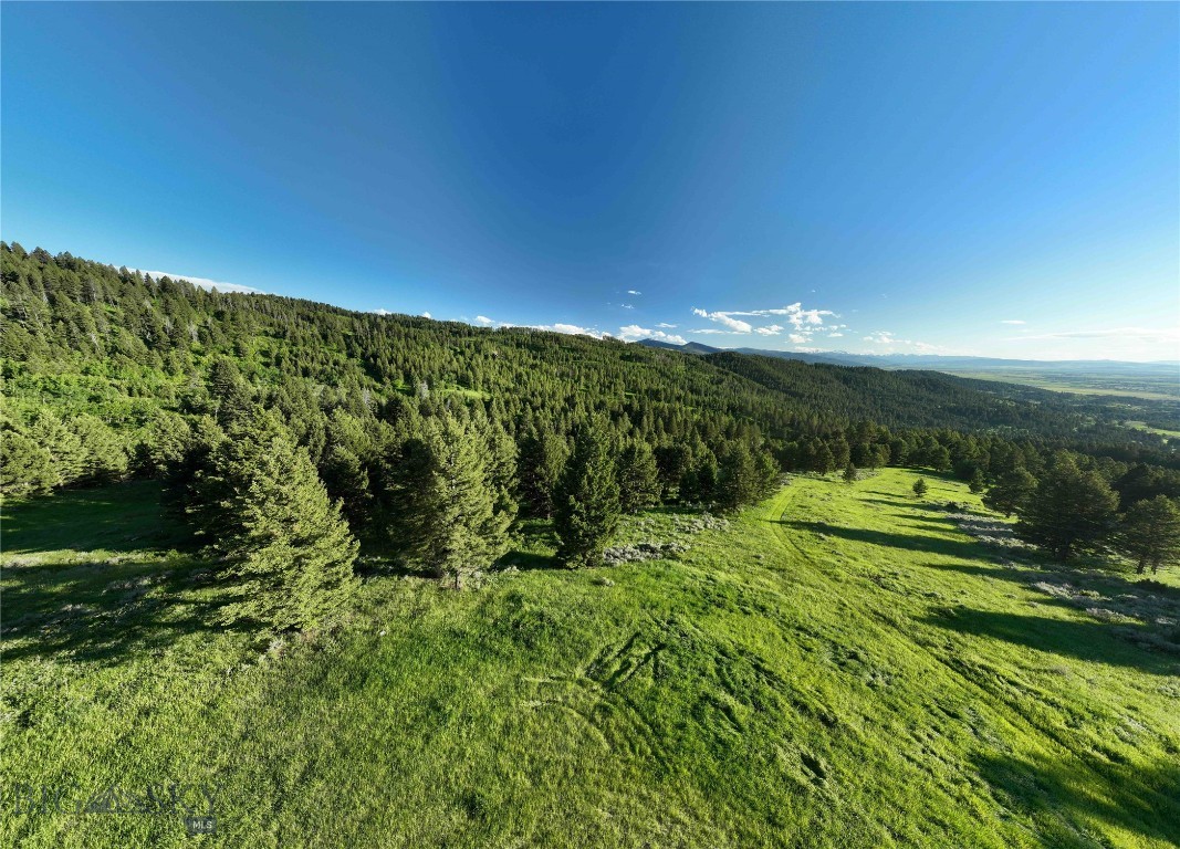 North Pass Ranches - Farm