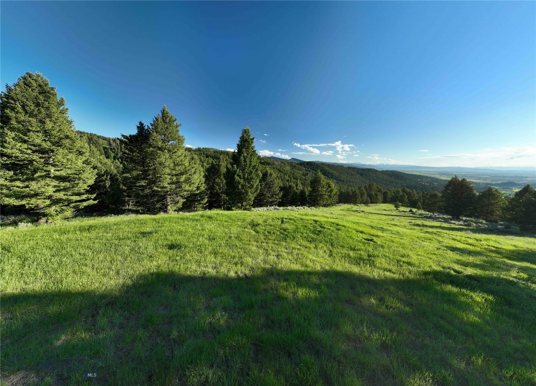 North Pass Ranches - Farm