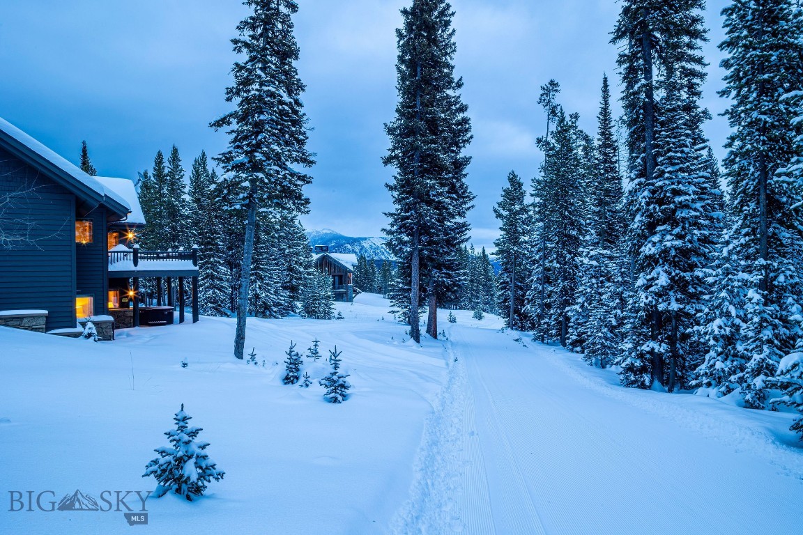 Diamond Hitch Of Ski Moonlight - Residential