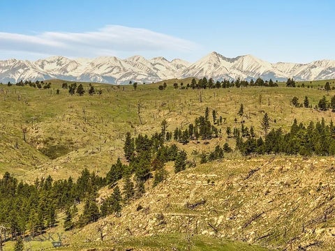 Photo of 659 Deadmans Canyon Road, Reed Point, MT 59069 (MLS # 414630)