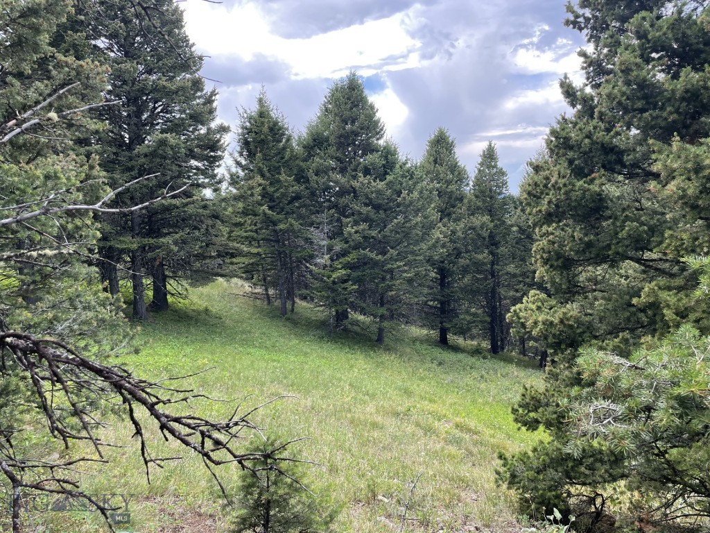 Mountain Springs Ranch - Land