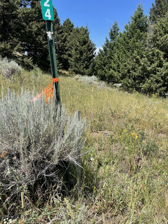 Mountain Springs Ranch - Land