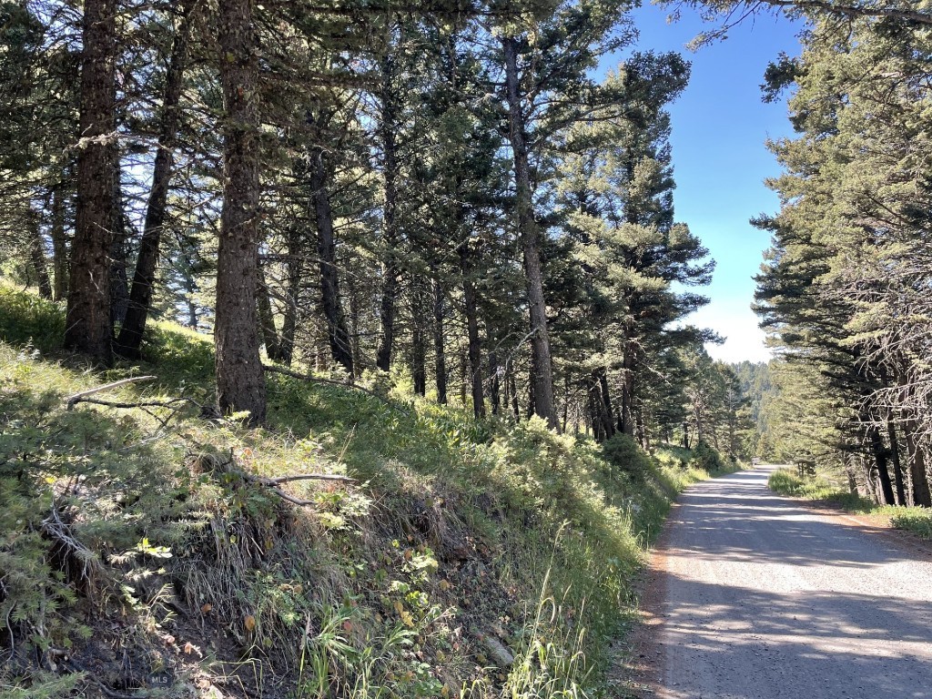 Mountain Springs Ranch - Land