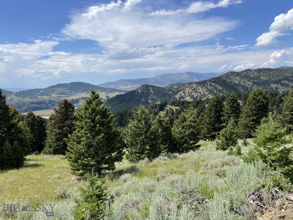 Mountain Springs Ranch - Land