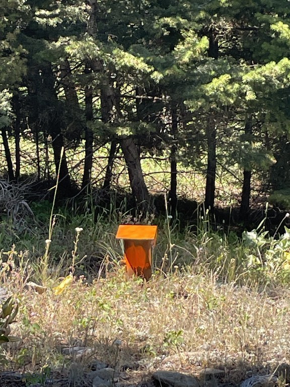 Mountain Springs Ranch - Land