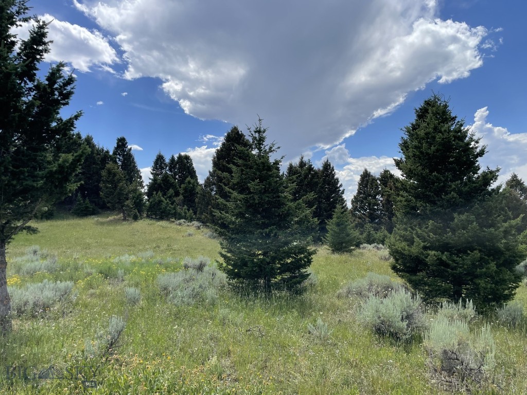 Mountain Springs Ranch - Land