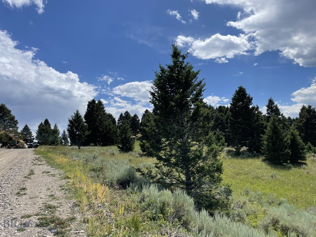 Mountain Springs Ranch - Land