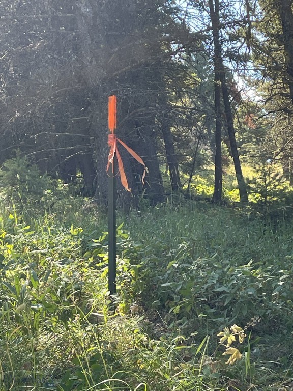 Mountain Springs Ranch - Land