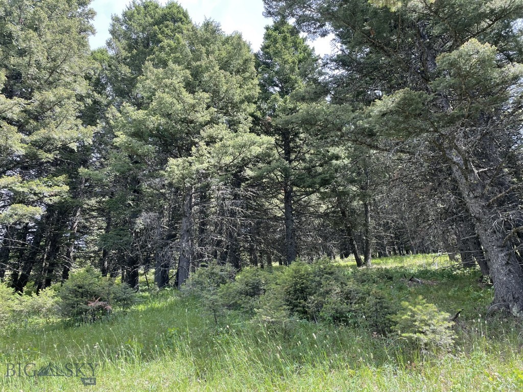 Mountain Springs Ranch - Land