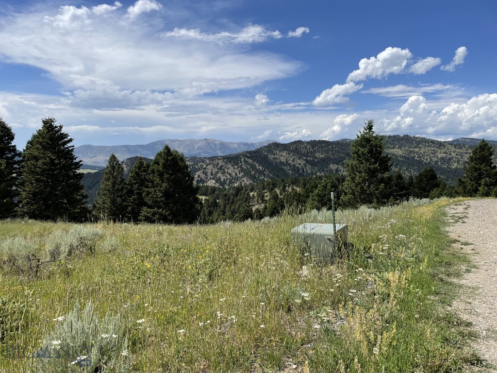 Mountain Springs Ranch - Land