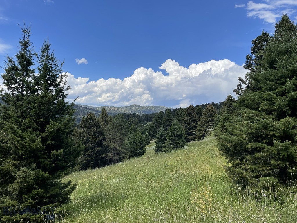 Mountain Springs Ranch - Land