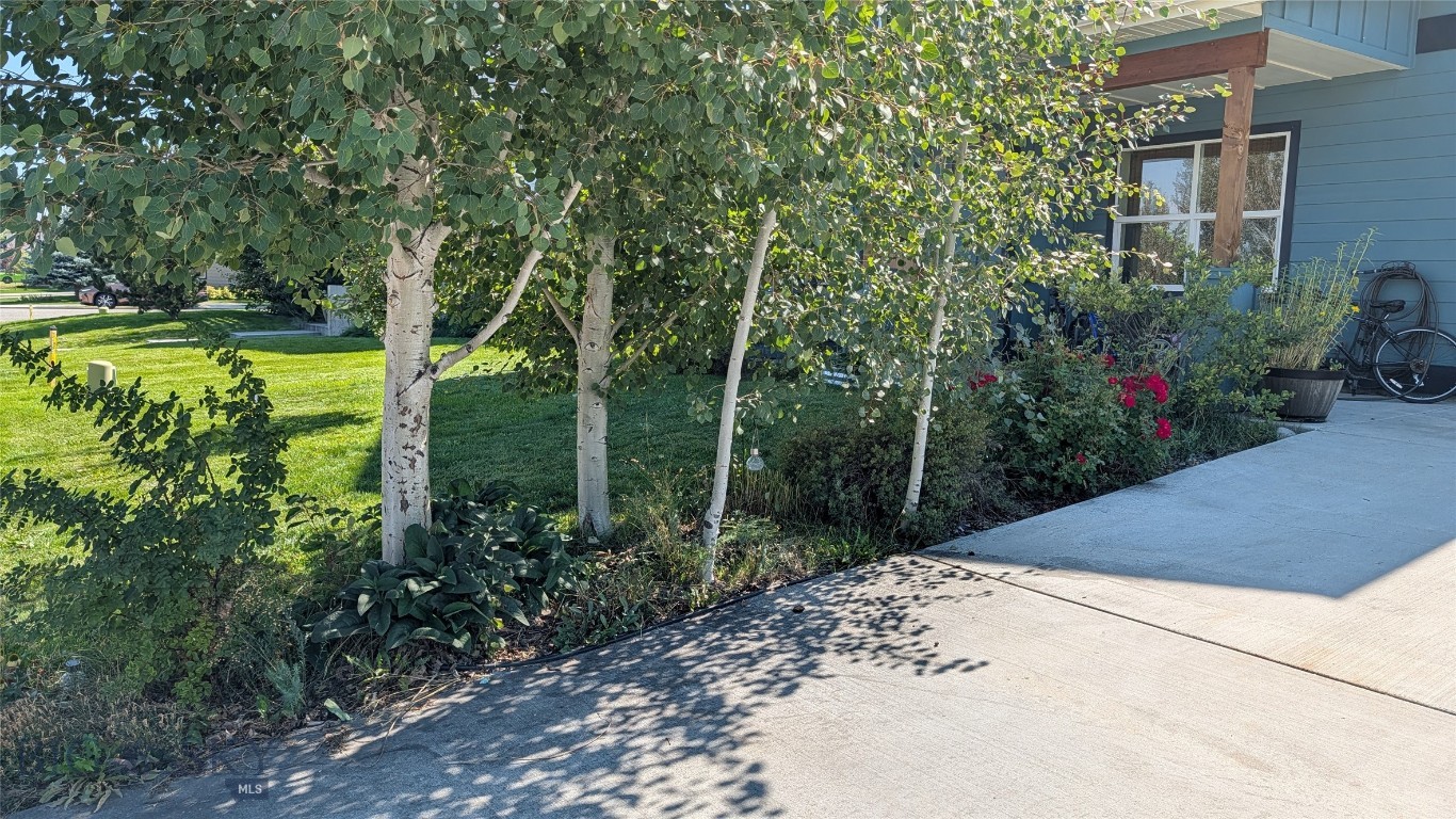 Woodland Park - Residential