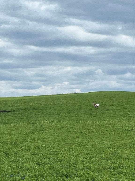 None - Land