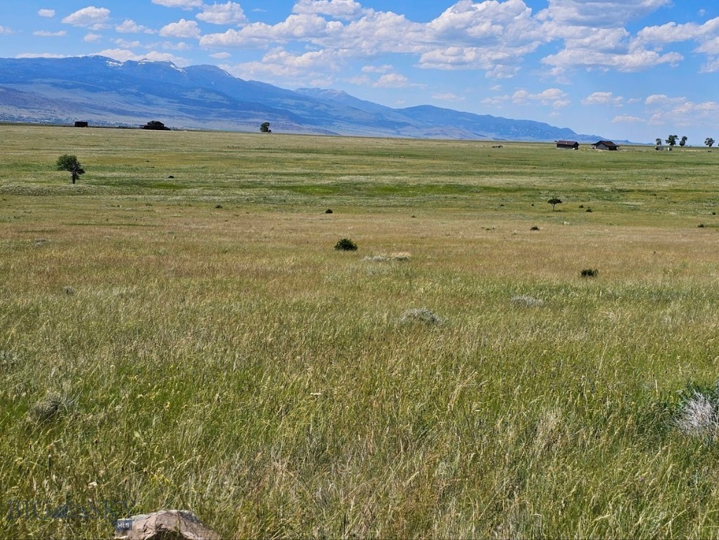 Ennis, Montana 59729, United States, ,Land,Active,53239