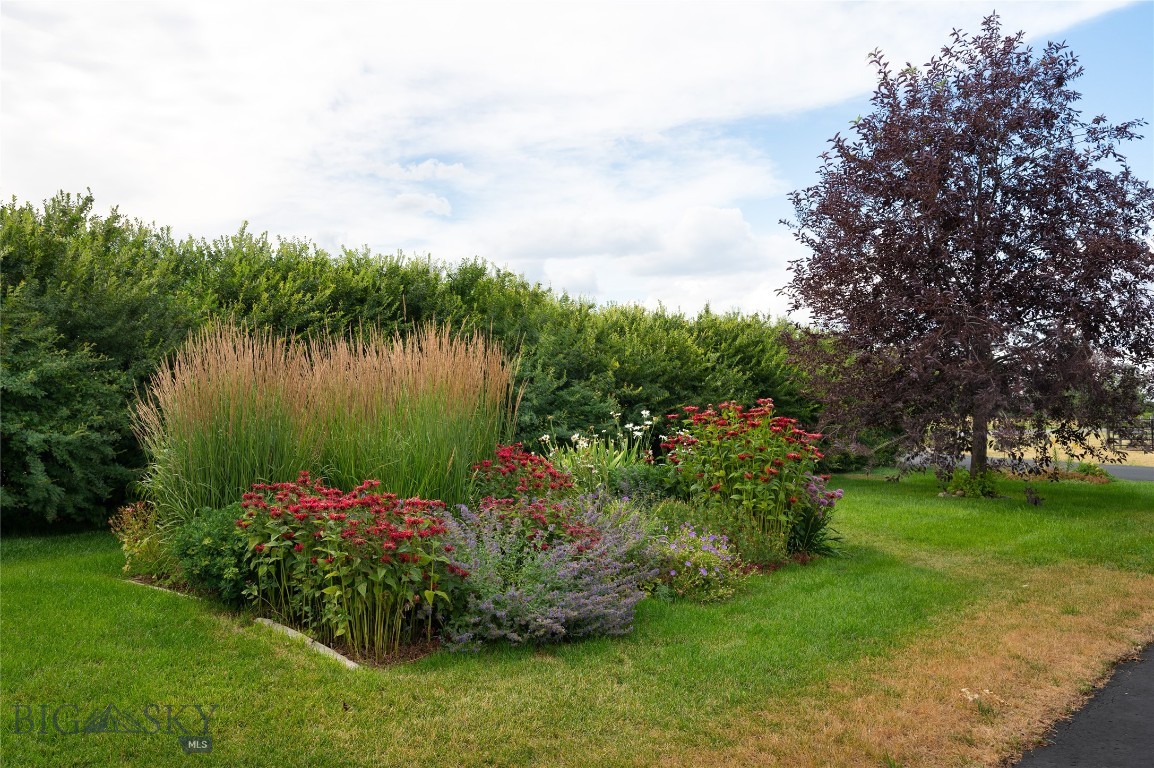 Minor Subdivision - Residential