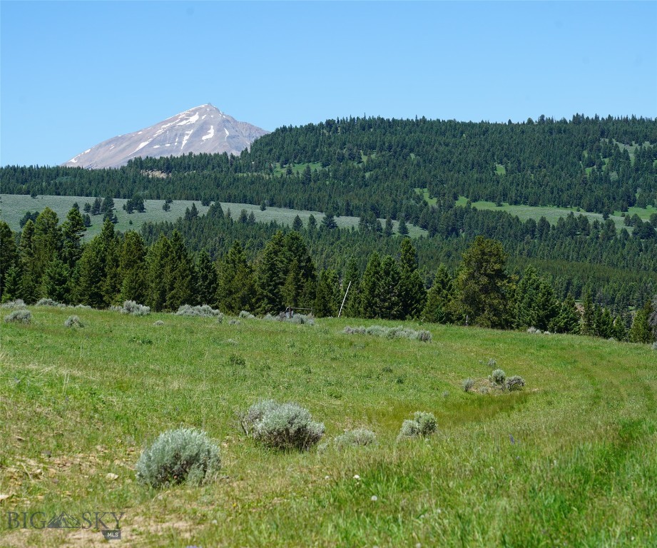 Beautiful 40 acre alpine meadow property, one of the most beautiful properties in Big Sky! Outstanding views of the surrounding mountains including the Spanish Peaks, Lone Peak and the surrounding foothills. Rolling grassy alpine meadow with a designated build site. Timberloft Road, a private dead-end road, provides access to the property - this is an engineered road carefully constructed to insure privacy and views. Electricity and fiber are buried along Timberloft Road , but are not pulled into the designated build sites so as to allow great flexibility in the design of a residence. Driveways and utilities to the build site will be the responsibility of the new owners. Lush alpine grasses blanket the land creating a park-like feeling - unlike many alpine mountain properties, this is totally usable land with gentle grades surrounded by a mature forested canopy. Ideal to create hiking and biking trails with views in every direction. Amazing sunsets and sunrises visible from all parts of the property but exceedingly private. Unlike any other property in the entire Big Sky area. Close to Ophir School, the West Gallatin River and convenient to Town Center and Meadow Village. Possible seller financing to qualified buyers.