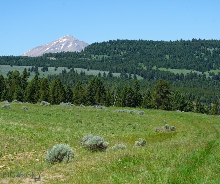 Beautiful 40 acre alpine meadow property, one of the most beautiful properties in Big Sky! Outstanding views of the surrounding mountains including the Spanish Peaks, Lone Peak and the surrounding foothills.  Rolling grassy alpine meadow with a designated build site.  Timberloft Road, a private dead-end road, provides access to the property - this is an engineered road carefully constructed to insure privacy and views.  Electricity and fiber are buried along Timberloft Road , but are not pulled into the designated build sites so as to allow great flexibility in the design of a residence. Driveways and utilities to the build site will be the responsibility of the new owners. Lush alpine grasses blanket the land creating a park-like feeling - unlike many alpine mountain properties, this is totally usable land with gentle grades surrounded by a mature forested canopy.  Ideal to create hiking and biking trails with views in every direction.  Amazing sunsets and sunrises visible from all parts of the property but exceedingly private.  Unlike any other property in the entire Big Sky area.  Close to Ophir School, the West Gallatin  River and convenient to Town Center and Meadow Village.  Possible seller financing to qualified buyers.