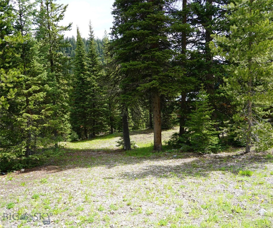 Big Sky, Montana 59716, United States, ,Land,Contingent,73742