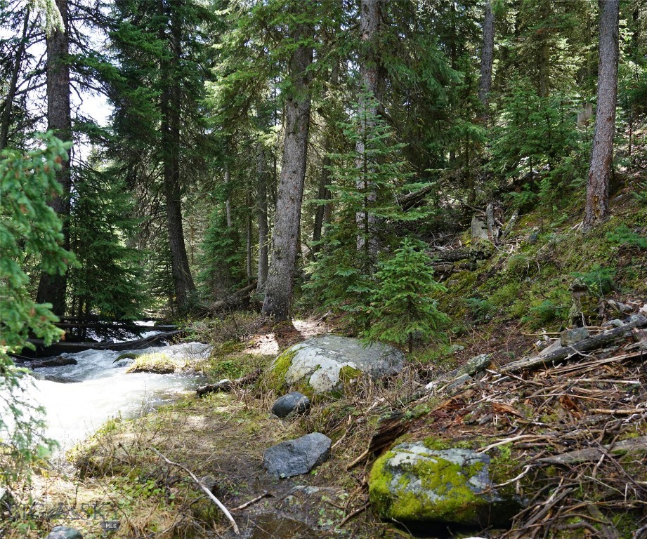 Big Sky, Montana 59716, United States, ,Land,Contingent,73742
