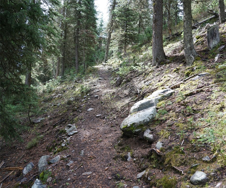Big Sky, Montana 59716, United States, ,Land,Contingent,73742