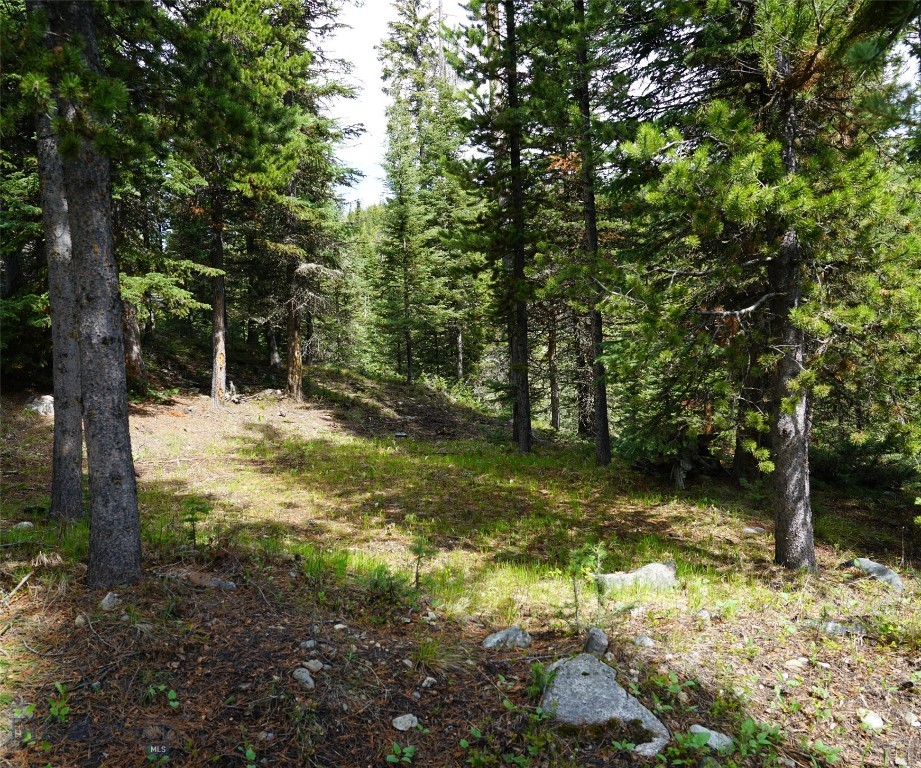 Big Sky, Montana 59716, United States, ,Land,Contingent,73742