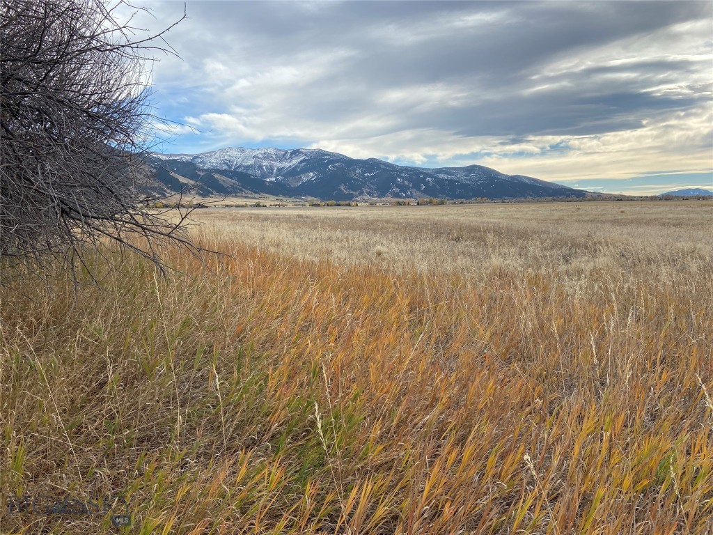 THIS END OF THE ROAD PROPERTY BOASTS SPECTACULAR VIEWS OF THE BRIDGER MOUNTAINS AND OF THE SURROUNDING AREA. YOU CAN VIEW THE SUN RISE BUT YOU CAN ALSO HAVE THE SUN SET. COME AND BUILD YOUR DREAM HOME AND BRING YOUR HORSES AND OTHER FARM ANIMALS. THESE LOVELY ACRES ARE CLOSE TO SHOPPING, HIKING, BIKING TRAILS, GOLFING, SKIING AND FISHING IN THE NUMEROUS NEARBY RIVERS WITH ONLY MINUTES AWAY. COME AND SEE THE BEAUTY THAT THIS PROPERTY HAS TO OFFER,