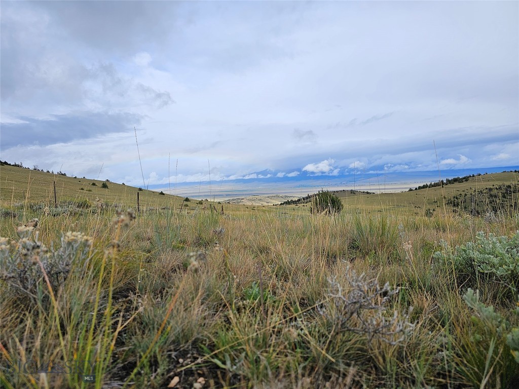 TBD Cow camp Trail