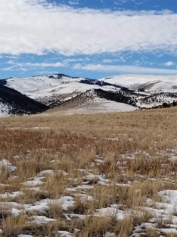 TBD Cow camp Trail