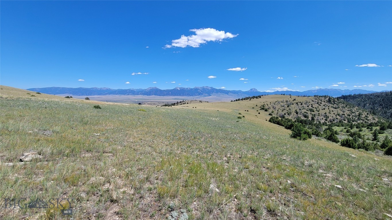 TBD Cow camp Trail