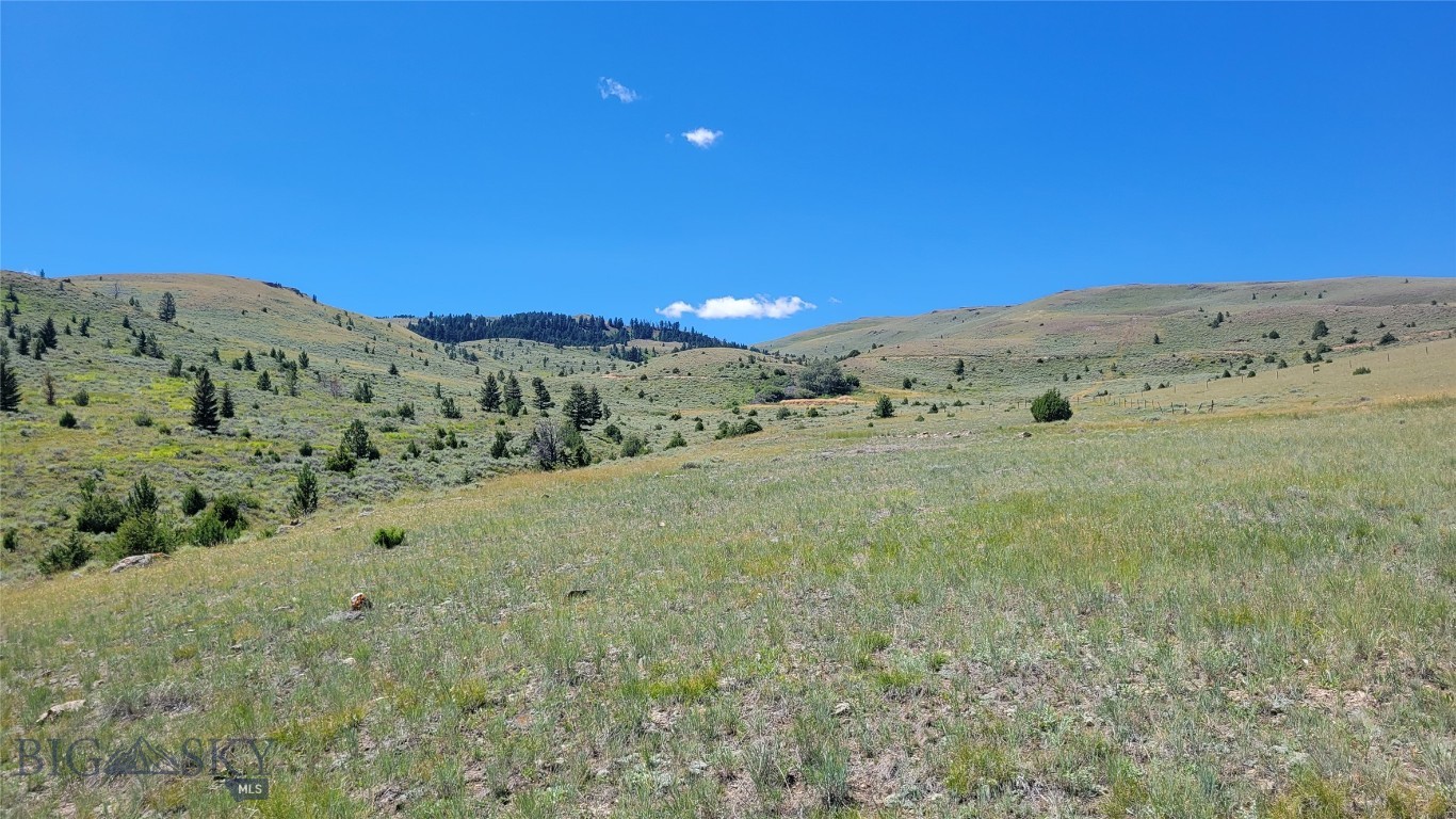 TBD Cow camp Trail