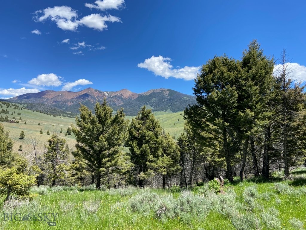 19 Acres of Montana mountain property bordering BLM Land and with fantastic mountain views, hunting, trees, with elk, deer, and moose on its own private driveway. This great mountain property is ready to pull your camper in to or build your Montana cabin right out on the forested slopes of the property on a site that’s already been leveled, and it’s nestled amongst the trees on the property. There’s even an outhouse already on the property as well as a small shower house. It’s ready to go, and it’s right next to the Bureau of Land Management land. You’ll be able to step out on your porch and walk right out onto thousands of acres of more land that’s all at your fingertips to hike, hunt, and enjoy, not to mention recreating on all the other public lands that surround the area. You’re getting way more bang for your buck when you think of all the extra land this property gives you easy access to right out your back door. The property borders BLM lands, and the National Forest is only about ½ mile away, where the Highland Mountains can be found. There’s trails and roads to explore and hike, ATV, or drive, and lots of country to take off hunting elk and deer. What a great feeling to know that the hills just behind the property are wide open spaces there for your hunting, hiking, and enjoyment. This is one of those hunting properties where you’ll find elk sign all across the property and up onto the BLM lands just beyond. Put up a tree stand on the property overlooking the grass and tree-covered slopes. Spend your time in the stand enjoying the solitude of your very own property while you enjoy the views of the Highland Mountains and the Wickiup and Camp Creek drainages, or take to the slopes in hot pursuit of your quarry. Either way, you’ve got lots of options and lots of country and animals to hunt. And the property has its own private driveway, and there’s a private gate on the access road to the property, which provides even more solitude. Wickiup Creek runs nearby, too as it heads down the drainage and eventually runs into the Big Hole River near Melrose, Montana. The creek has very small fish and other aquatic critters and it’s in a semi-broad valley bottom with willows, sedges and other lush vegetation. The moose browse here, and the elk and deer like it too for its water and lush feed. Old beaver dams can be found on Wickiup Creek, which used to create ponds as the creek made its way through the valley. This has a cabin site that’s ready to build on!