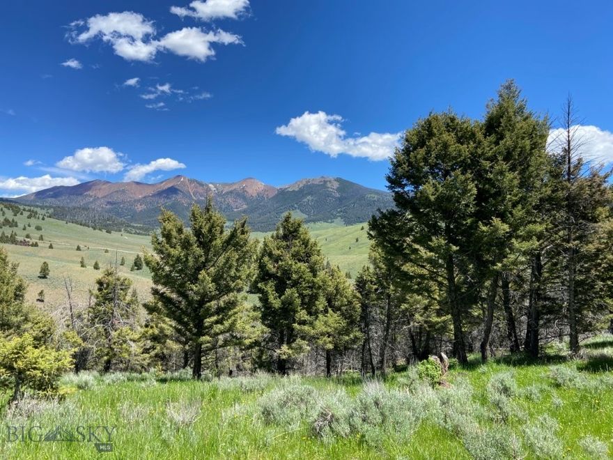 19 Acres of Montana mountain property bordering BLM Land and with fantastic mountain views, hunting, trees, with elk, deer, and moose on its own private driveway. This great mountain property is ready to pull your camper in to or build your Montana cabin right out on the forested slopes of the property on a site that’s already been leveled, and it’s nestled amongst the trees on the property. There’s even an outhouse already on the property as well as a small shower house. It’s ready to go, and it’s right next to the Bureau of Land Management land. You’ll be able to step out on your porch and walk right out onto thousands of acres of more land that’s all at your fingertips to hike, hunt, and enjoy, not to mention recreating on all the other public lands that surround the area. You’re getting way more bang for your buck when you think of all the extra land this property gives you easy access to right out your back door. The property borders BLM lands, and the National Forest is only about ½ mile away, where the Highland Mountains can be found. There’s trails and roads to explore and hike, ATV, or drive, and lots of country to take off hunting elk and deer. What a great feeling to know that the hills just behind the property are wide open spaces there for your hunting, hiking, and enjoyment. This is one of those hunting properties where you’ll find elk sign all across the property and up onto the BLM lands just beyond. Put up a tree stand on the property overlooking the grass and tree-covered slopes. Spend your time in the stand enjoying the solitude of your very own property while you enjoy the views of the Highland Mountains and the Wickiup and Camp Creek drainages, or take to the slopes in hot pursuit of your quarry. Either way, you’ve got lots of options and lots of country and animals to hunt. And the property has its own private driveway, and there’s a private gate on the access road to the property, which provides even more solitude. Wickiup Creek runs nearby, too as it heads down the drainage and eventually runs into the Big Hole River near Melrose, Montana. The creek has very small fish and other aquatic critters and it’s in a semi-broad valley bottom with willows, sedges and other lush vegetation. The moose browse here, and the elk and deer like it too for its water and lush feed. Old beaver dams can be found on Wickiup Creek, which used to create ponds as the creek made its way through the valley. This has a cabin site that’s ready to build on!