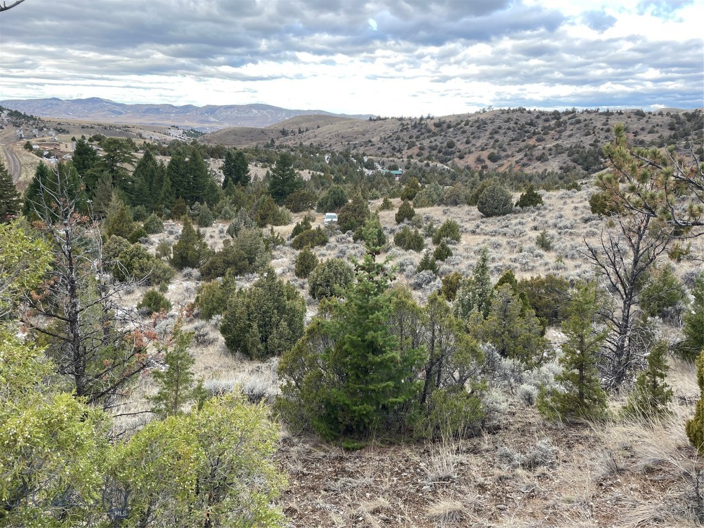 Ponderosa Pines - Land